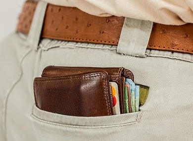 wallet - money to buy fake pee